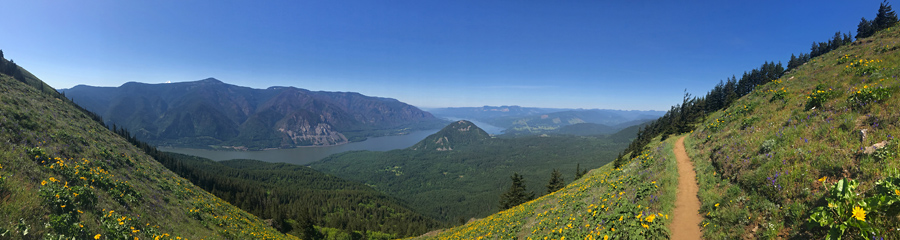 Dog Mountain at Columbia River Gorge in WA