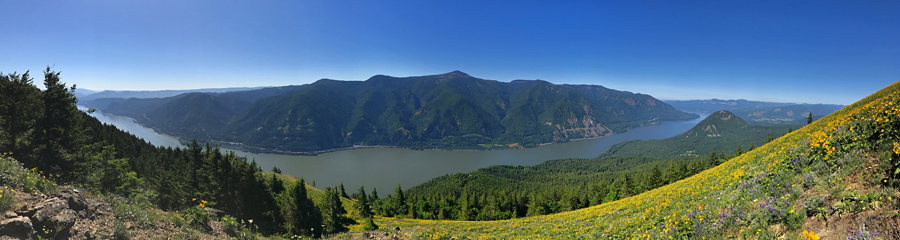 Dog Mountain at Columbia River Gorge in WA