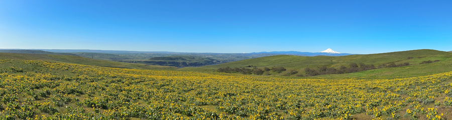 Dalles Mountain Ranch at Columbia River Gorge in WA