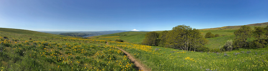 Dalles Mountain Ranch at Columbia River Gorge in WA