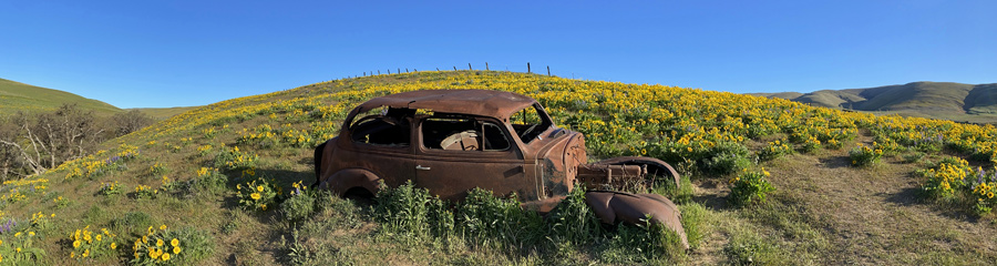 Dalles Mountain Ranch at Columbia River Gorge in WA