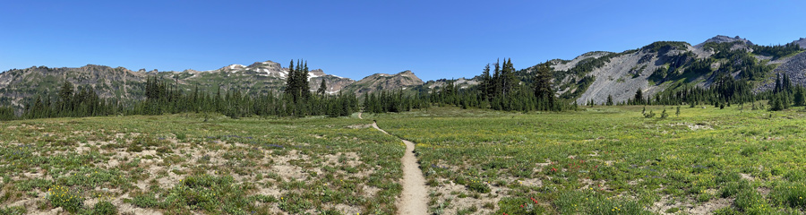 Goat Rocks Wilderness in WA