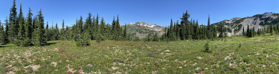 Goat Rocks Wilderness in WA