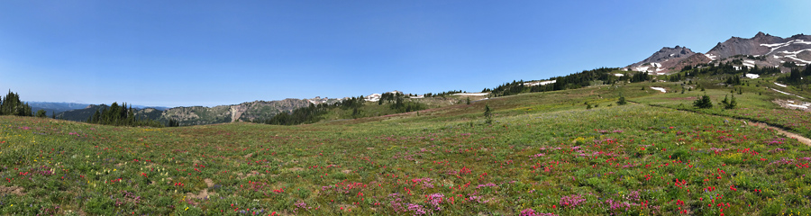 Snowgrass Flats at Goat Rocks in WA