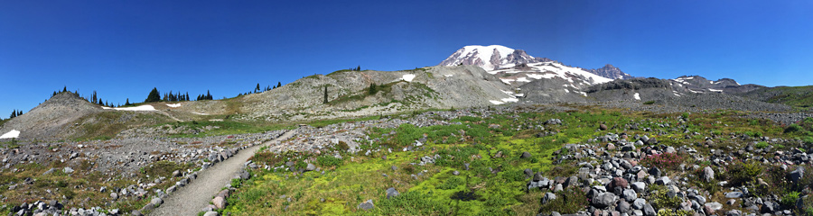 Mt. Rainier NP in WA