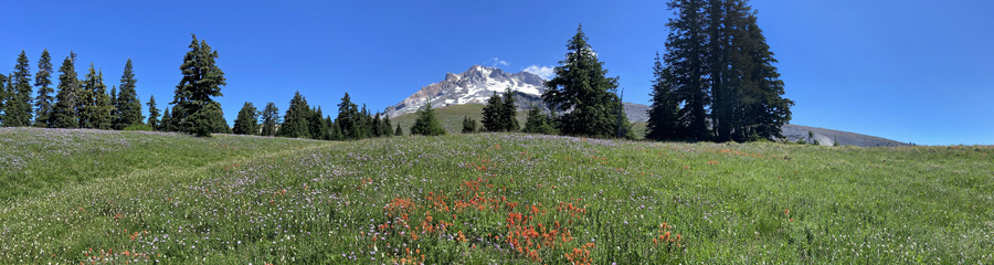 Paradise Park at Mt. Hood in OR