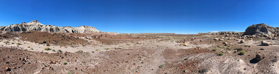 Jasper Forest at Petrified Forest NP in AZ